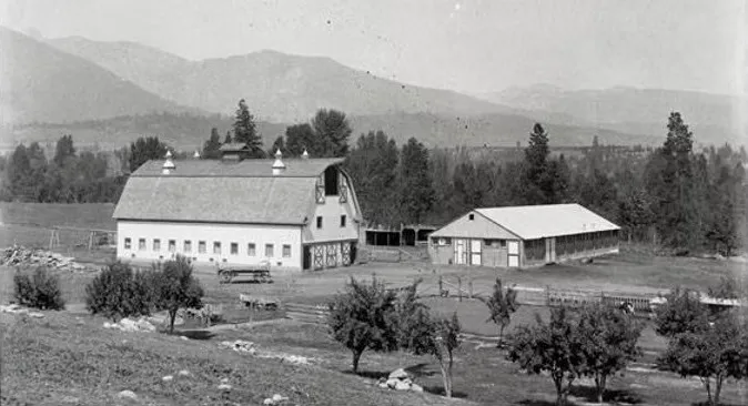Black and white archival photograph of a large gambrel roofed barn with cupolas and a long low second barn, young orchard trees in the foreground and mountains behind