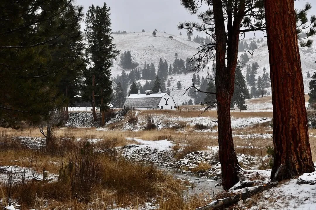 A creek winding through dry grass and light snow under tall ponderosa pines, with a white barn and snow-dusted hills in the distance