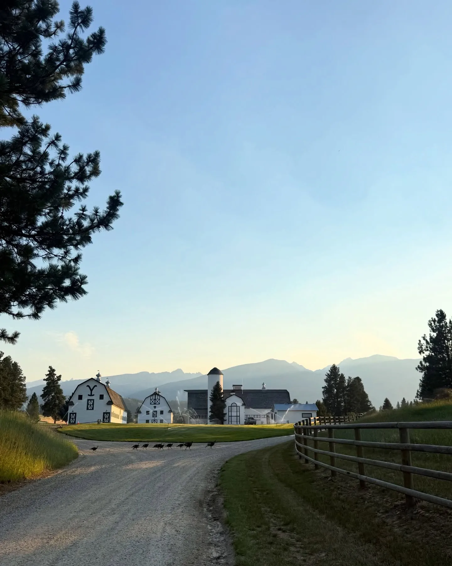 The ranch road leading to the white barns at dusk, with the Bitterroot Range behind