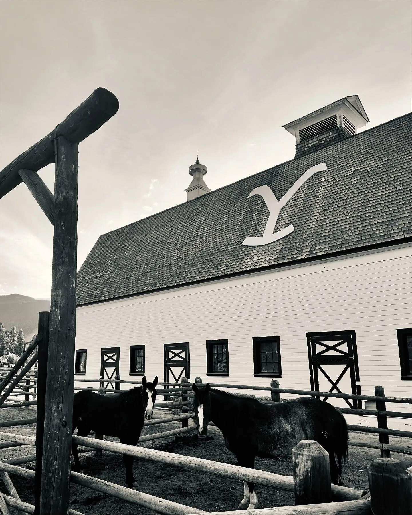 Horses in the corral beside the big white barn