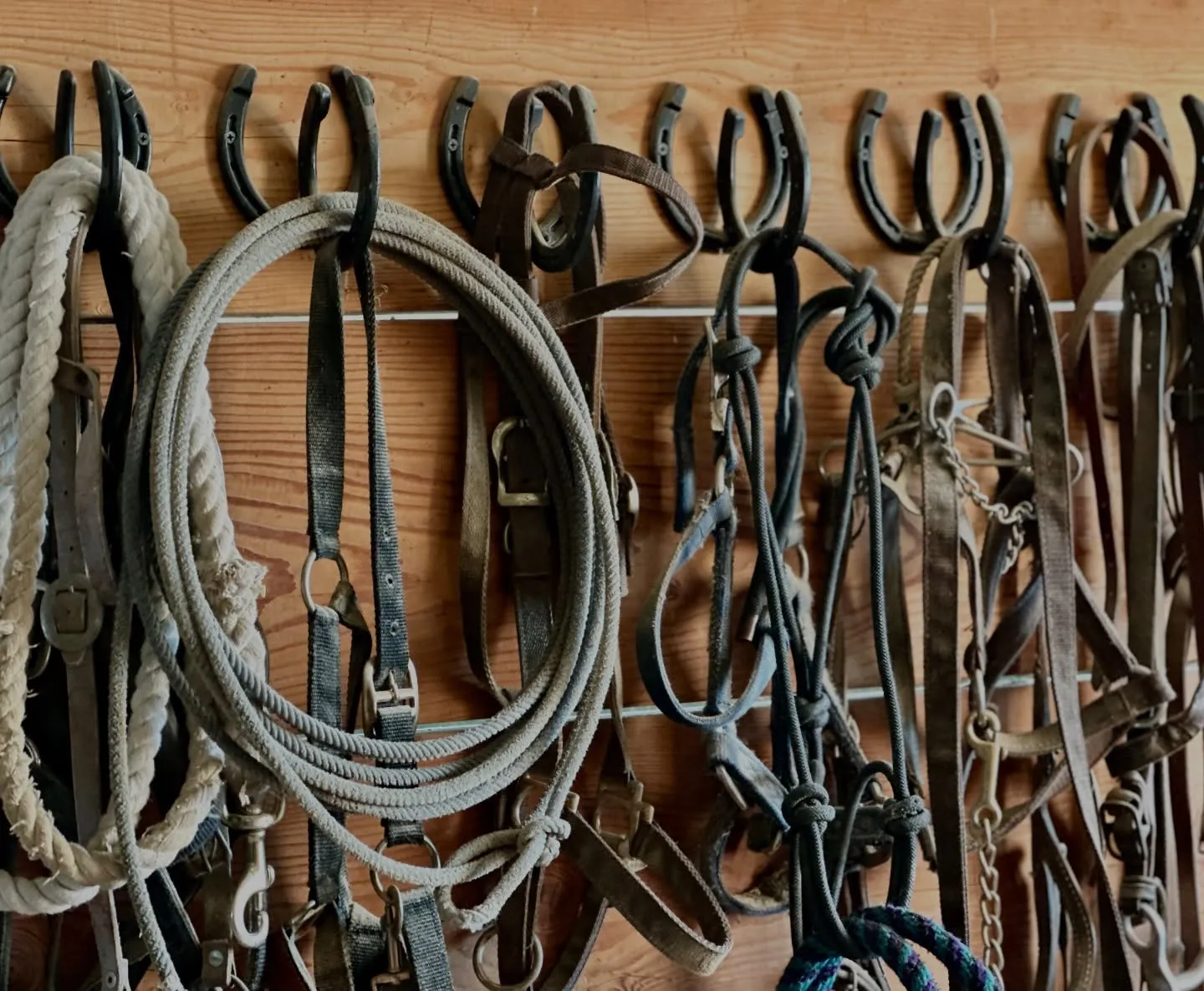 Ropes, bridles and horseshoes hanging in the tack room